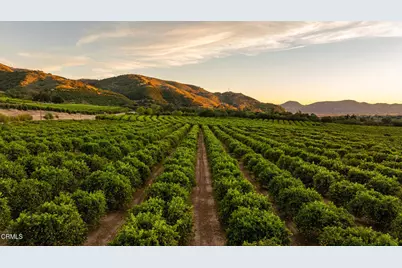 0 Goodenough Rd Street, Fillmore, CA 93015 - Photo 1