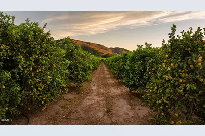 0 Goodenough Rd Street, Fillmore, CA 93015 - Photo 7