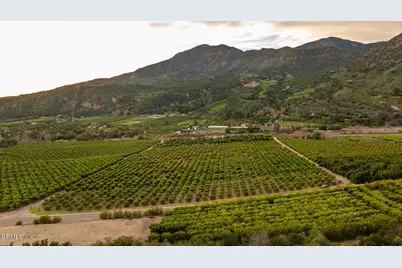 0 Goodenough Rd Street, Fillmore, CA 93015 - Photo 15