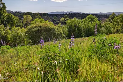 1130 Rancho Drive, Ojai, CA 93023 - Photo 71