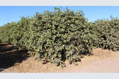 0 Price Road, Somis, CA 93066 - Photo 13
