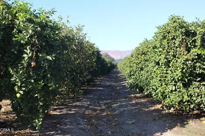 0 Price Road, Somis, CA 93066 - Photo 7