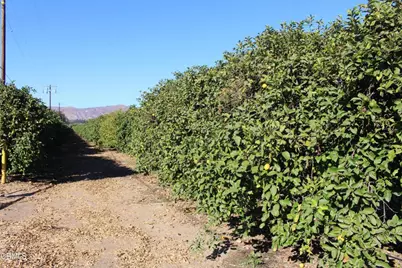 0 Price Road, Somis, CA 93066 - Photo 3