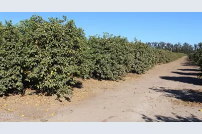 0 Price Road, Somis, CA 93066 - Photo 11
