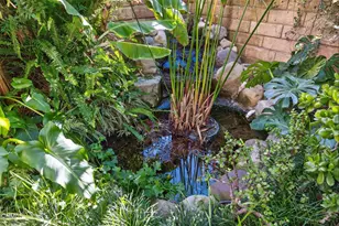 1907 Tanager St, Ventura, CA 93003 - Photo 65