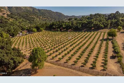 10829 10883 Oak Knoll Road, Ojai, CA 93023 - Photo 19