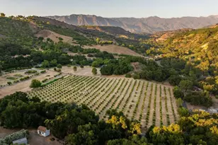 10829 10883 Oak Knoll Rd, Ojai, CA 93023 - Photo 7