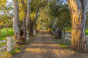 1519 Ayers Ave, Ojai, CA 93023 - Photo 49