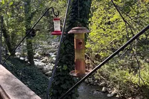 15667 Ojai Rd, Santa Paula, CA 93060 - Photo 21