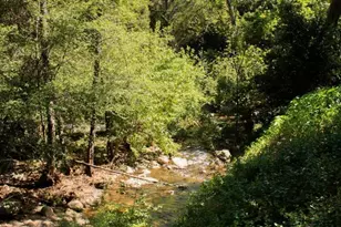 15667 Ojai Rd, Santa Paula, CA 93060 - Photo 5
