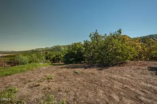 20296 S Mountain Rd, Santa Paula, CA 93060 - Photo 41