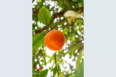 161 Harborview Court, Ventura, CA 93003 - Photo 45