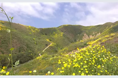 367 Capistrano Drive, Ventura, CA 93004 - Photo 23