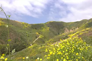 367 Capistrano Dr, Ventura, CA 93004 - Photo 23