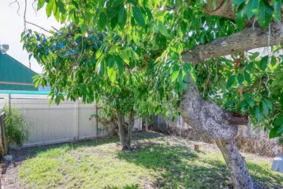 916 E Santa Paula Street, Santa Paula, CA 93060 - Photo 45