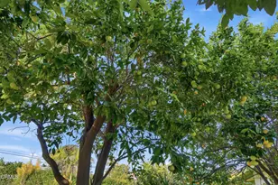 189 Teloma Dr, Ventura, CA 93003 - Photo 39