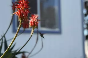 4499 Copland Dr, Ventura, CA 93003 - Photo 17