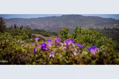 642 Tico Road, Ojai, CA 93023 - Photo 31