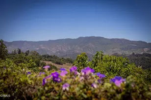 642 Tico Rd, Ojai, CA 93023 - Photo 31