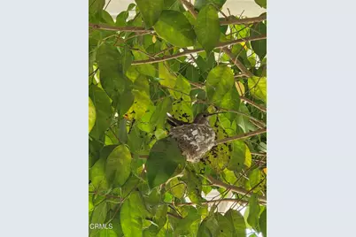 222 Calle Fronte #29, Camarillo, CA 93012 - Photo 5