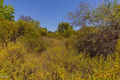 1 Hendrickson Road, Ojai, CA 93023 - Photo 7