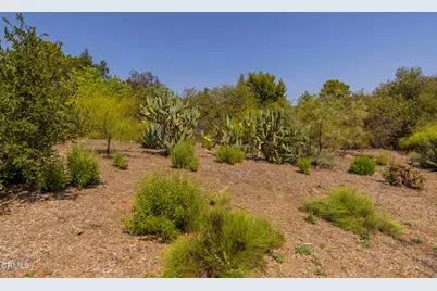 1 Hendrickson Road, Ojai, CA 93023 - Photo 9