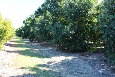 1550 Santa Paula Street, Fillmore, CA 93015 - Photo 35