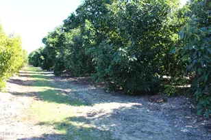 1550 Santa Paula St, Fillmore, CA 93015 - Photo 35