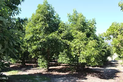 1550 Santa Paula Street, Fillmore, CA 93015 - Photo 5