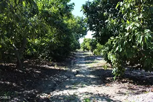 1550 Santa Paula St, Fillmore, CA 93015 - Photo 37