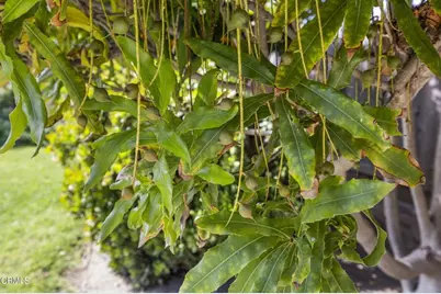 9417 -9419 Petit Court, Ventura, CA 93004 - Photo 23