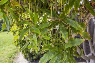 9417 -9419 Petit Ct, Ventura, CA 93004 - Photo 23