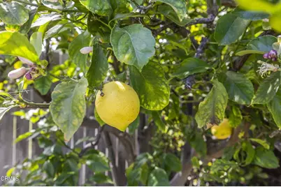 9417 9419 Petit Court, Ventura, CA 93004 - Photo 29