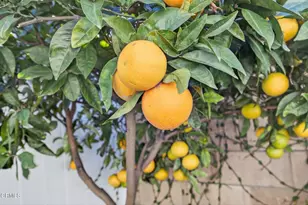 1327 Johnson Dr, Ventura, CA 93003 - Photo 29