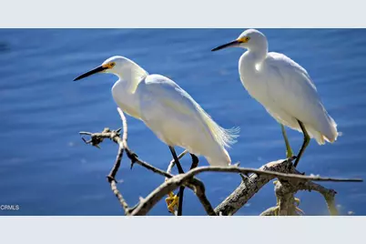 2177 Eastridge Trail, Oxnard, CA 93036 - Photo 51