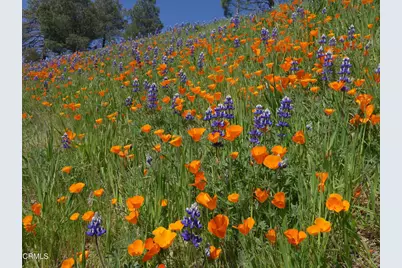 2177 Eastridge Trail, Oxnard, CA 93036 - Photo 49