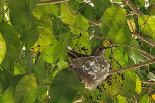 222 Calle Fronte, Camarillo, CA 93012 - Photo 5