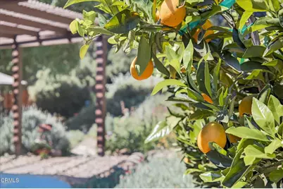 525 S Ventura Street, Ojai, CA 93023 - Photo 45