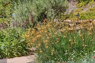 525 S Ventura St, Ojai, CA 93023 - Photo 29