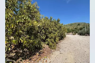 7907 Balcom Canyon Road, Somis, CA 93066 - Photo 15
