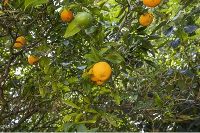 258 Mara Avenue, Ventura, CA 93004 - Photo 49