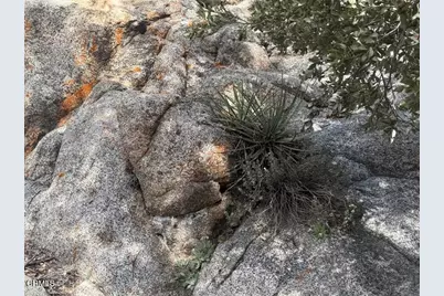 8275 Jawbone Canyon Road, Weldon, CA 93283 - Photo 61