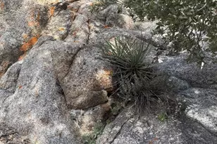 8275 Jawbone Canyon Rd, Weldon, CA 93283 - Photo 61