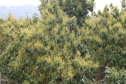 0 Camulos Street, Piru, CA 93040 - Photo 1