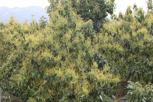 0 Camulos St, Piru, CA 93040 - Photo 1