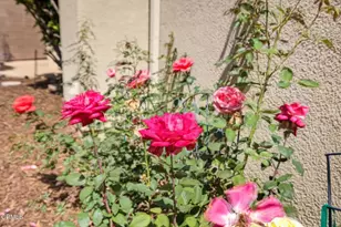 1705 Via Pajaro, Camarillo, CA 93012 - Photo 47