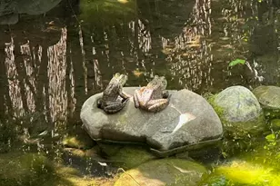 813 Santa Ana Blvd, Oak View, CA 93022 - Photo 29