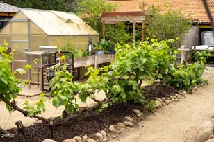 813 Santa Ana Blvd, Oak View, CA 93022 - Photo 51