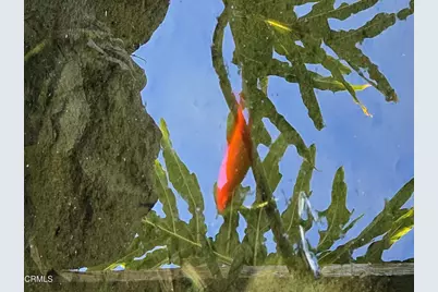 813 Santa Ana Boulevard, Oak View, CA 93022 - Photo 29