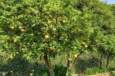 1490 Calle La Cumbre, Camarillo, CA 93010 - Photo 35